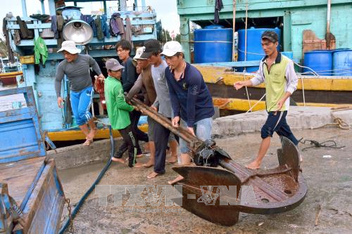 Ngư dân Khánh Hòa, Bình Thuận khẩn trương di dời tàu thuyền tránh trú bão số 14 ảnh 3